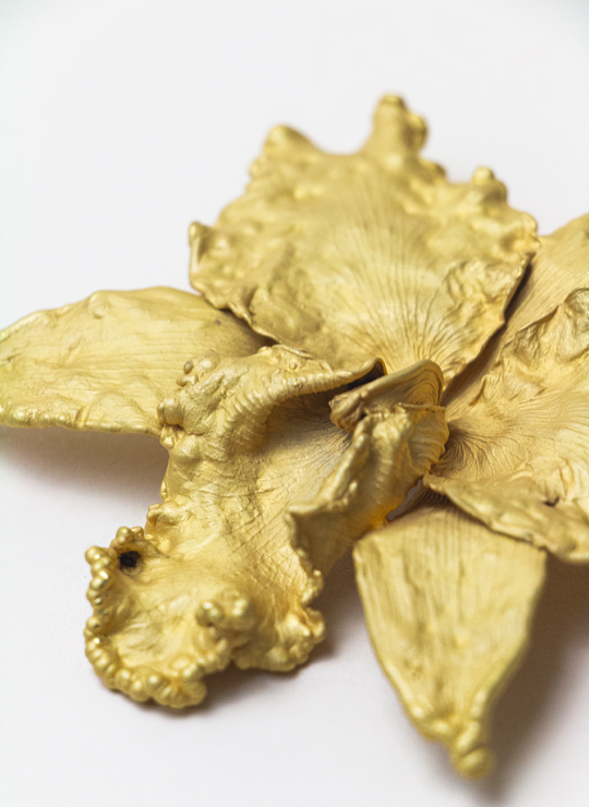 Golden Essentials | Esenciales de Oro